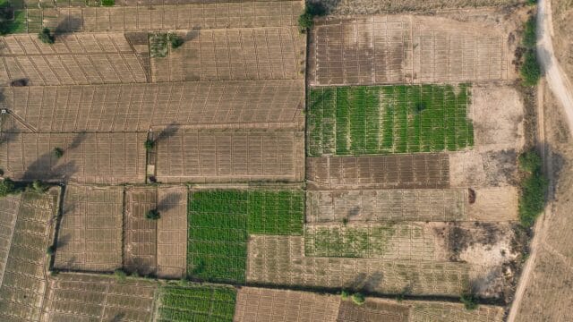 Aerial view showcasing intricate patterns of agricultural farmland with varied colors.